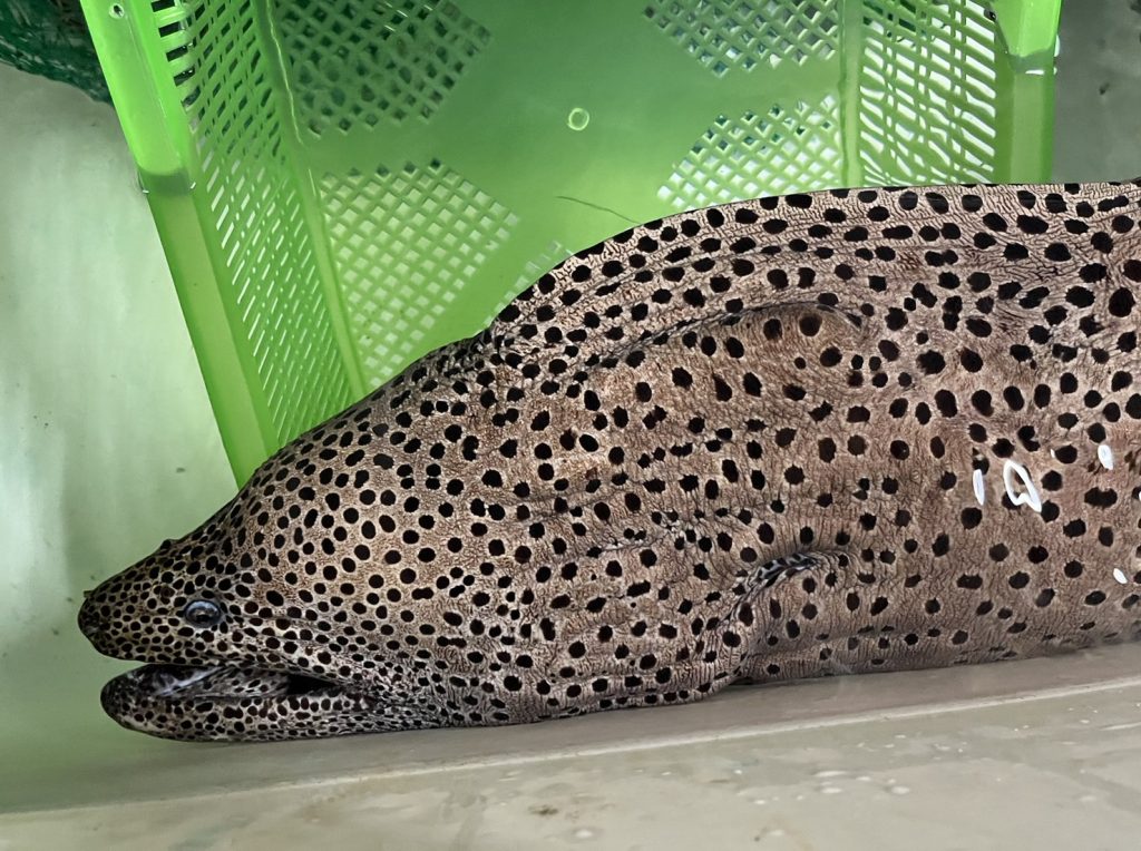 606711f3b3cb846786a6e79d387173