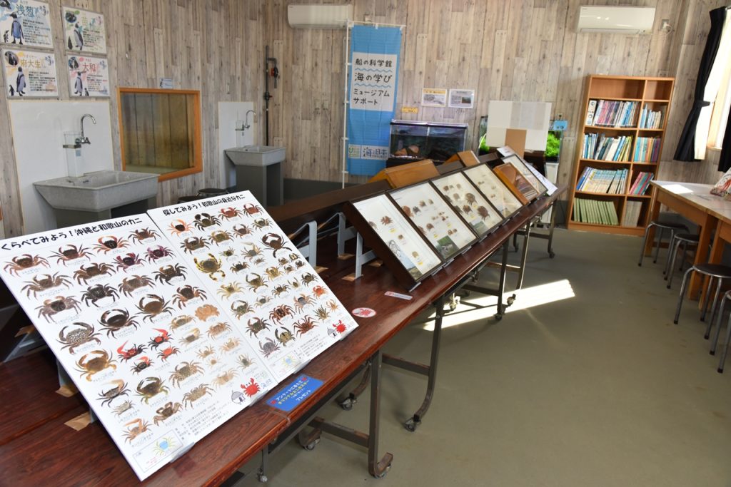 特別展 カニ標本で見る和歌山の海 開催 | すさみ町立エビとカニ