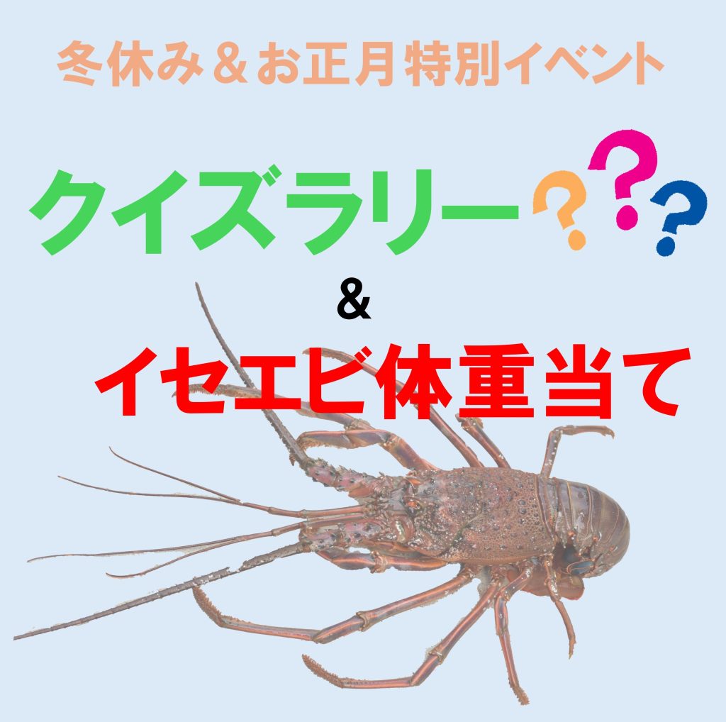 お正月特別イベント クイズラリー＆イセエビ体重当て | すさみ町立エビ