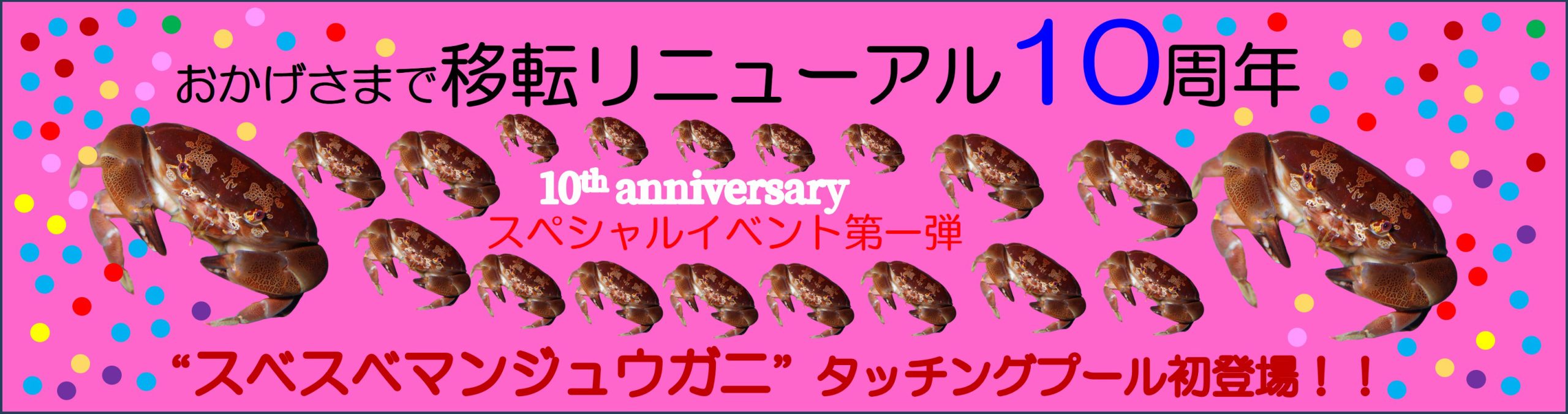 スベスベマンジュウガニタッチングプール