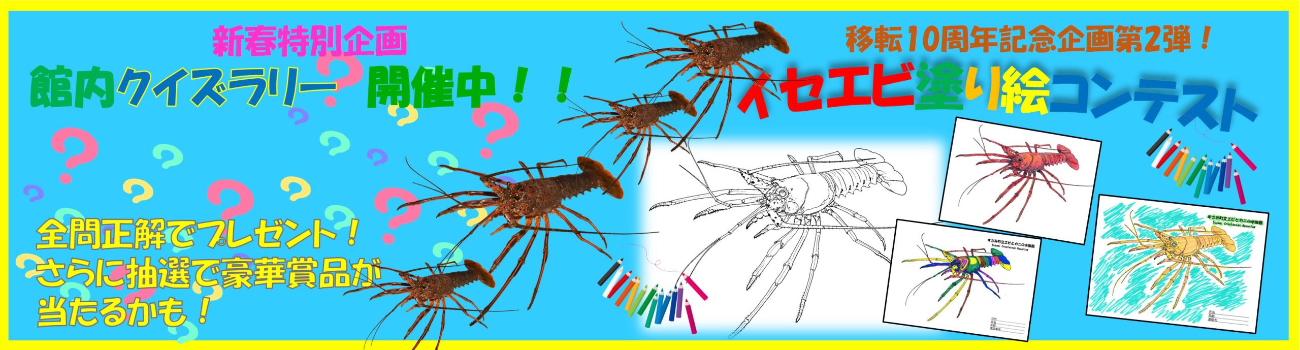 スベスベマンジュウガニタッチングプール